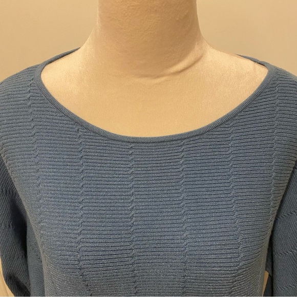 NWT Cyrus Small Long Sleeve Blue Sweater - Picture 10 of 12